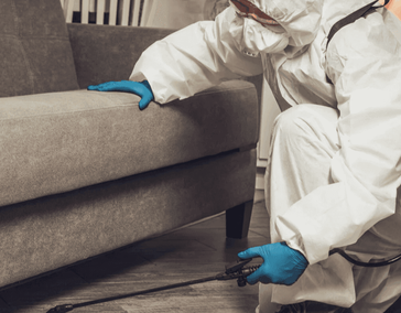 Обработка помещений от тараканов, клопов, блох