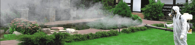 Форма обратной связи