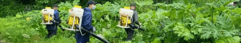 Для оформления заказа звоните по номеру +7(919)66111хх