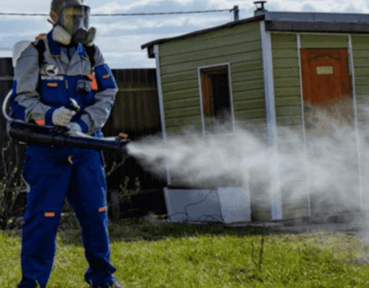 обработка от клещей